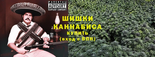 эйфоретик Бикин