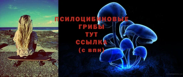 СК Покров
