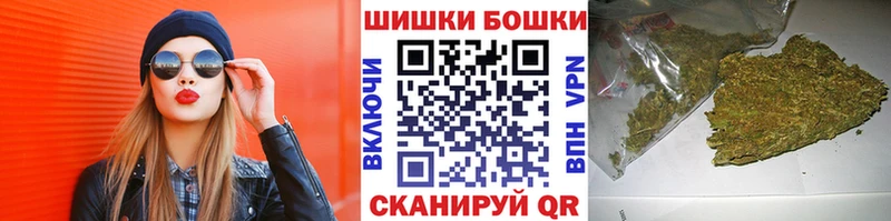 kraken   Будённовск  Канабис сатива 